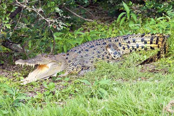 Mary River National Park Guide - GoRV