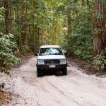 Fraser Island