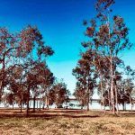 Walkamin Caravan Park