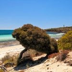 Eyre Peninsula