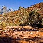 Flinders Ranges