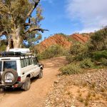 Flinders Ranges