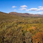 Flinders Ranges