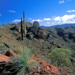 Flinders Ranges