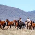 Corryong