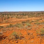 alice springs