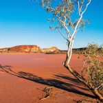 alice springs