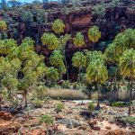 alice springs