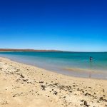 ningaloo