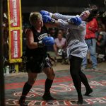 birdsville races