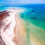 shark bay